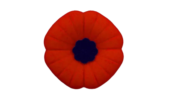 Red Poppy Flower PNG Transparent Background