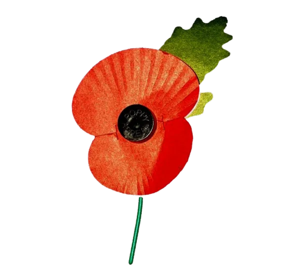 Remembrance Day Poppy PNG Transparent Background