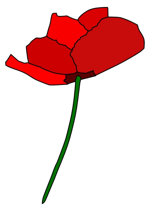 Stylized Red Poppy Flower PNG Transparent Background