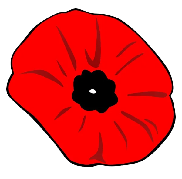 Red Poppy Flower PNG Transparent Background