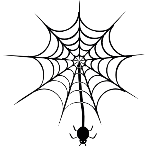 Spiderweb with Spider PNG Transparent Background