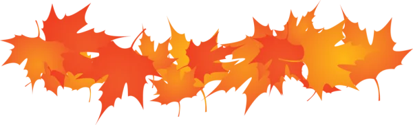Autumn Leaves Border PNG Transparent Background