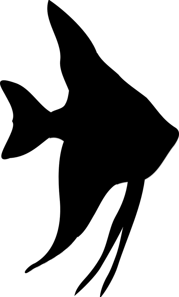 Solid Black Background PNG