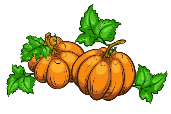 Cartoon Pumpkins with Green Leaves PNG