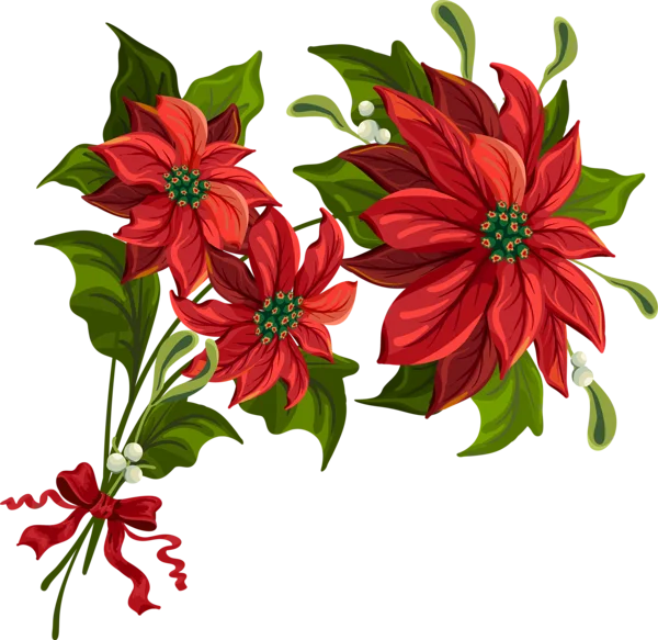 Festive Poinsettia and Mistletoe Arrangement PNG