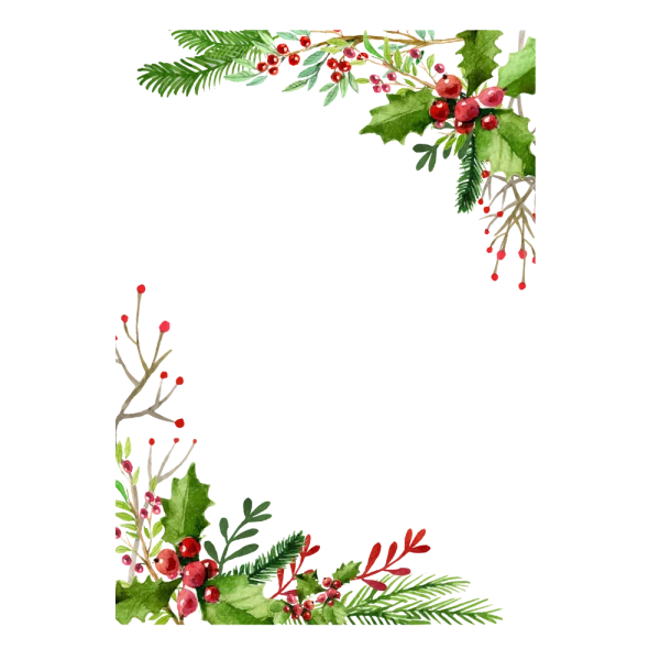 Watercolor Christmas Holly Berries Pine Branches Frame