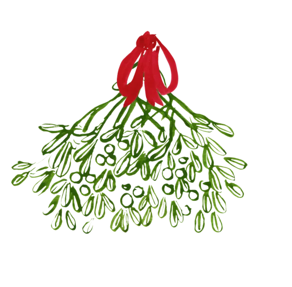 Watercolor Mistletoe with Red Bow PNG