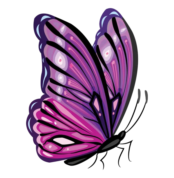 Vibrant Purple Butterfly PNG Transparent Background