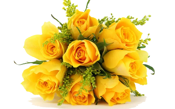 Yellow Rose Bouquet Transparent Background
