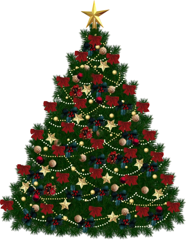 Decorated Christmas Tree PNG with Transparent Background
