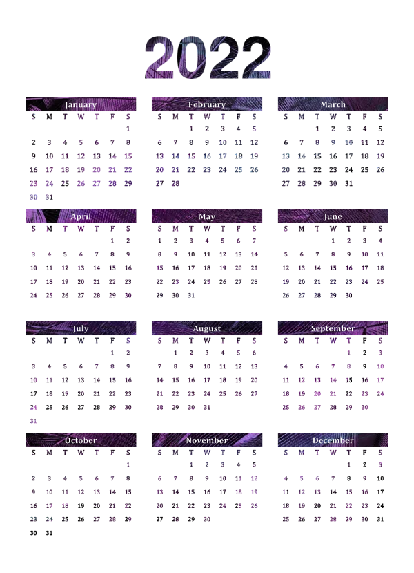 2022 Full Year Calendar PNG Dark Textured Design