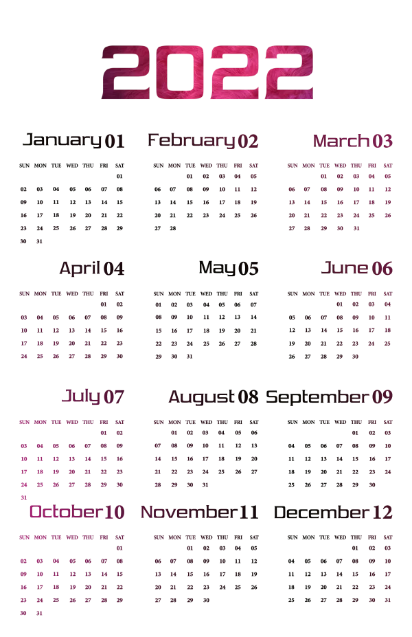 2022 Full Year Calendar Pink Textured PNG
