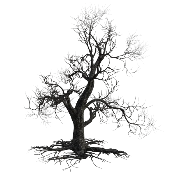 Spooky Bare Tree with Roots Transparent Background