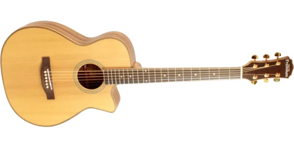 Acoustic Guitar Transparent Background PNG