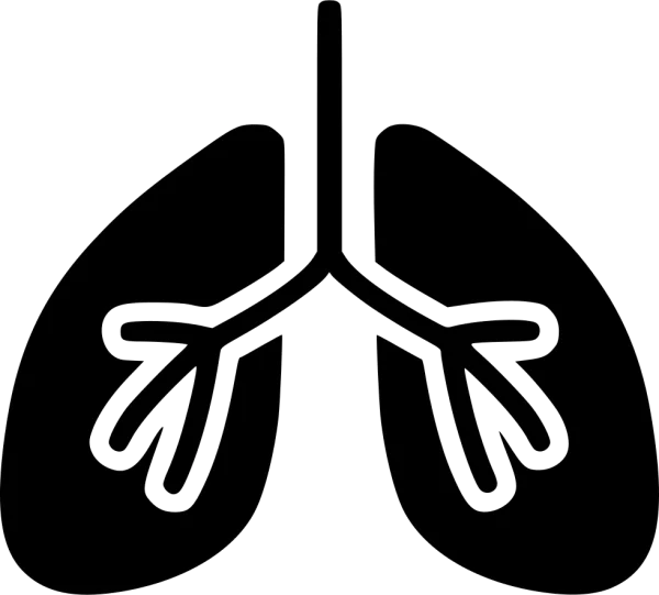 Human Lungs Icon PNG Transparent