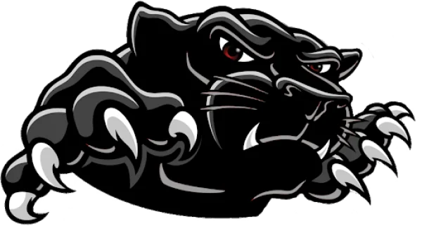 Black Panther Head Mascot Logo PNG