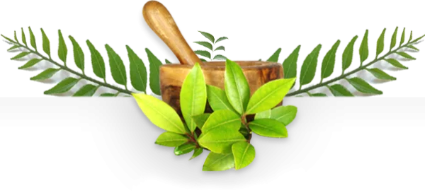 Herbal Mortar and Pestle with Fresh Leaves PNG
