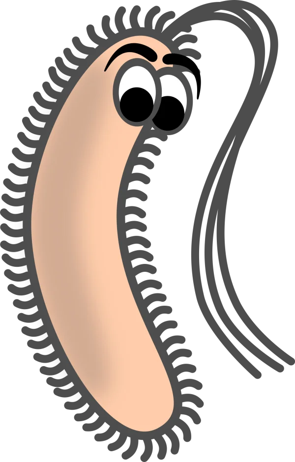Smiling Cartoon Microbe PNG Transparent Background
