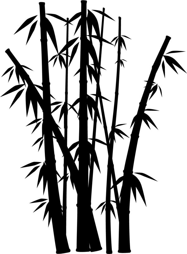 Solid Black Background PNG Transparent