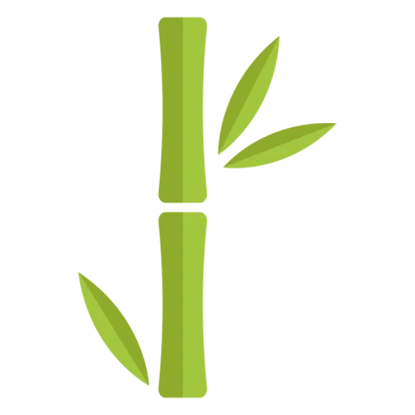 Bamboo Stalk with Leaves PNG Transparent Background
