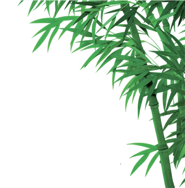 Green Bamboo Leaves and Stalk PNG Transparent Background