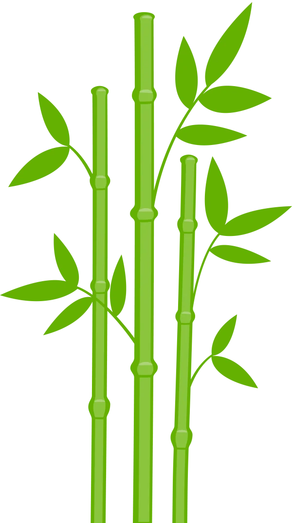 Stylized Green Bamboo Plant PNG Transparent Background