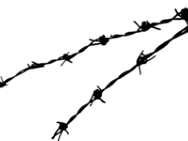 Solid Black Background PNG