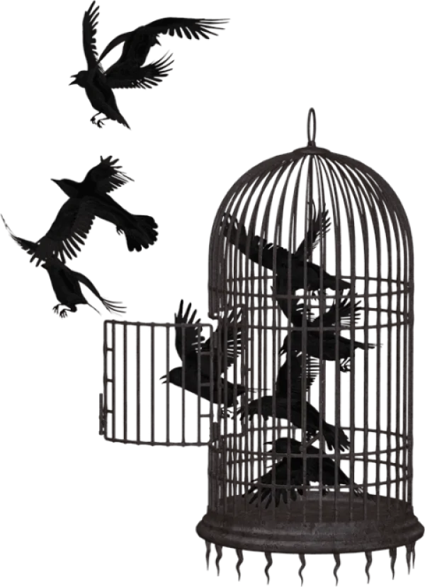 Dark Birds Escaping Birdcage PNG Transparent