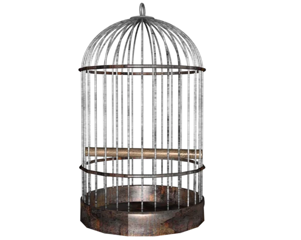 Old Rusty Bird Cage PNG Transparent Background
