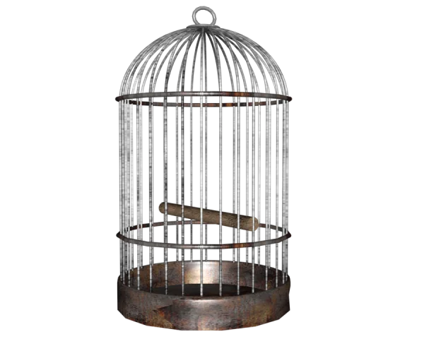 Old Rusty Bird Cage PNG Transparent Background
