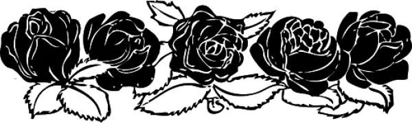 Stylized White Rose Outlines PNG Transparent