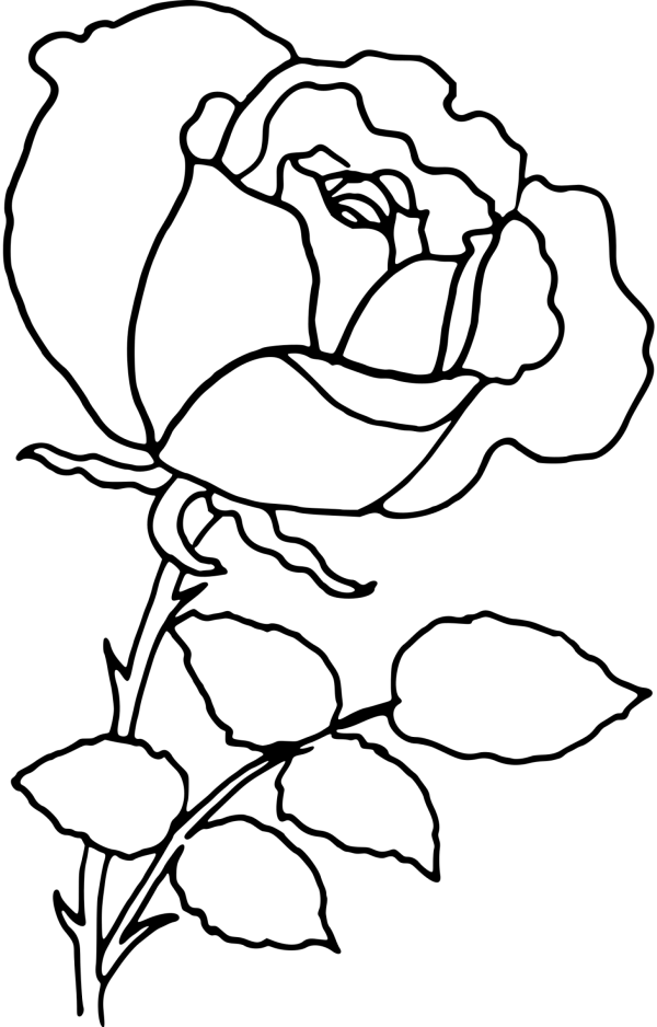 Solid Black Transparent Background PNG