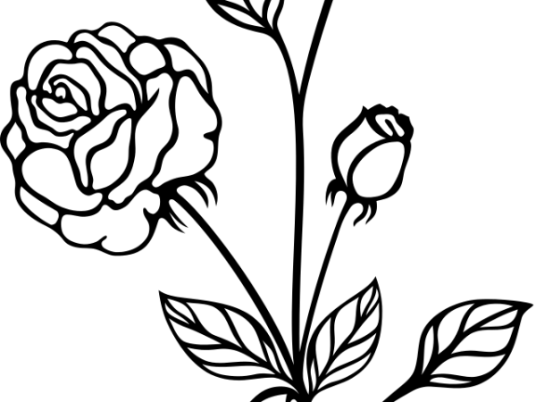 Solid Black Background PNG