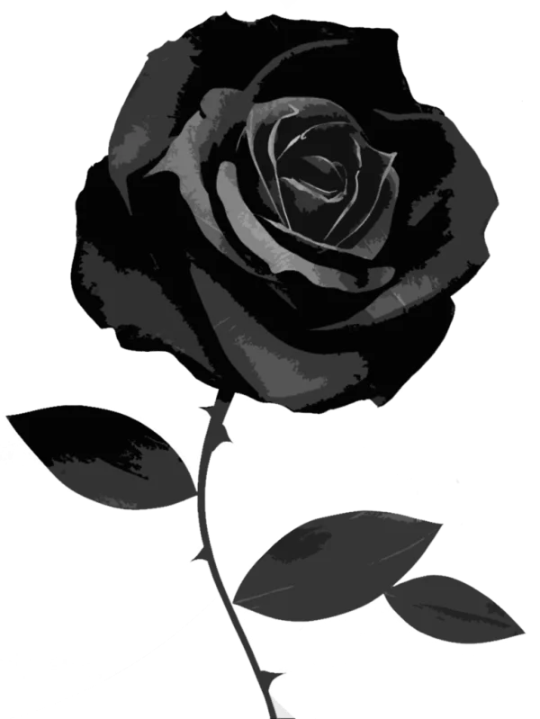 Black Rose PNG Transparent Background