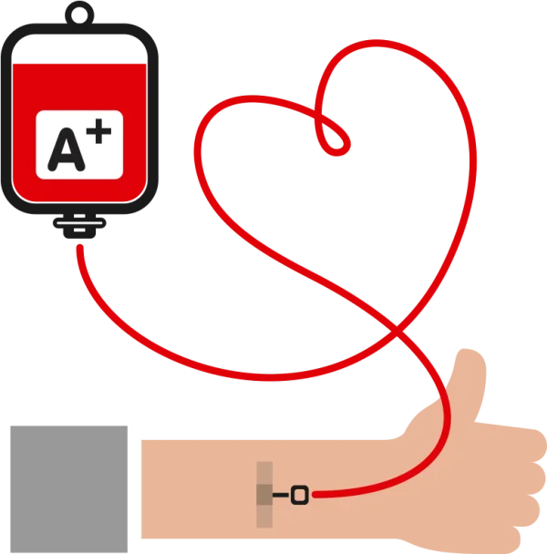 Blood Donation with Heart Tube PNG Transparent Background