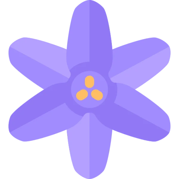 Purple Flower Icon Transparent Background