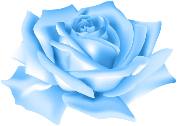 Light Blue Rose PNG Transparent Background