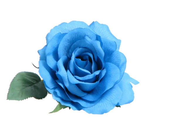 Vibrant Blue Rose PNG Transparent Background