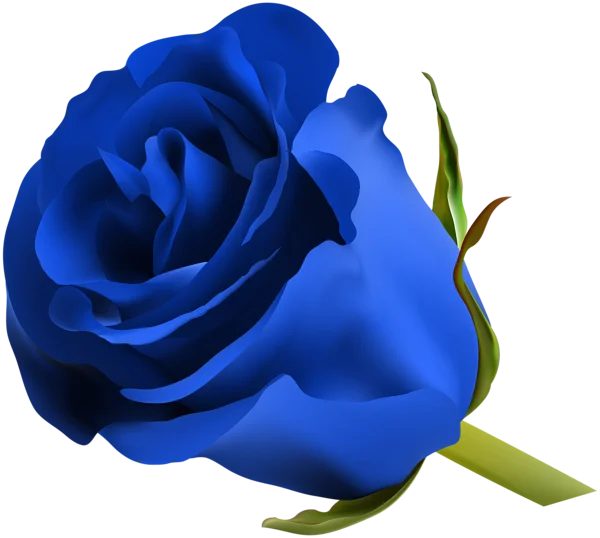 Blue Rosebud PNG Transparent Background