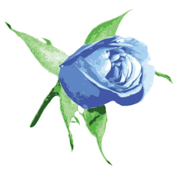 Blue Rose with Green Leaves PNG Transparent Background