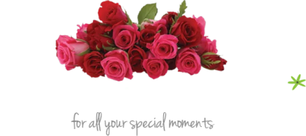 Red and Pink Roses Bouquet PNG Transparent Background