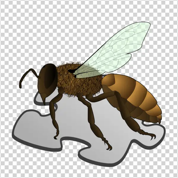 Bee on Puzzle Piece PNG Transparent Background