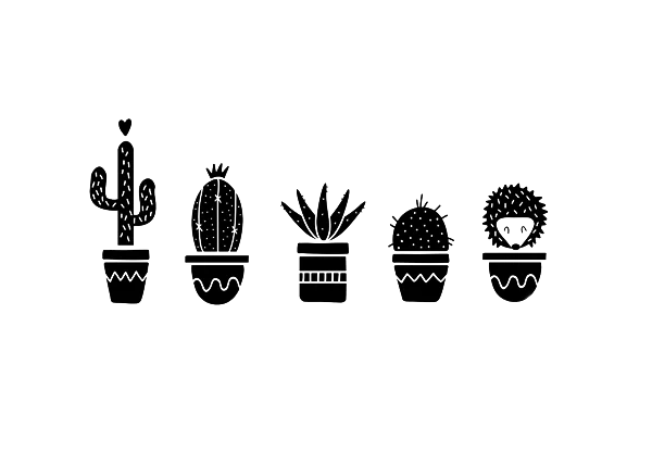 Potted Cacti and Succulents Outline PNG Transparent Background