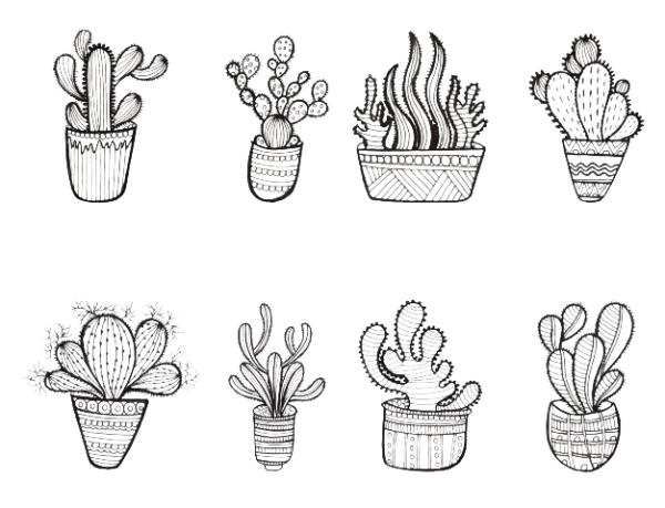 Artistic Hand Drawn Cacti Collection PNG