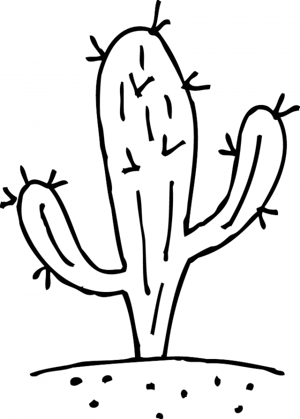 Hand Drawn Cactus Outline PNG Transparent Background