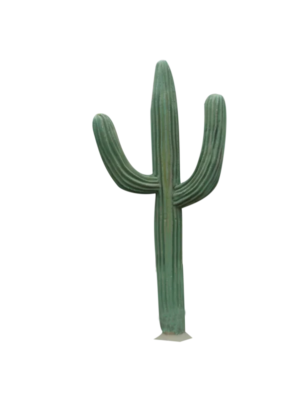 Saguaro Cactus PNG Transparent Background