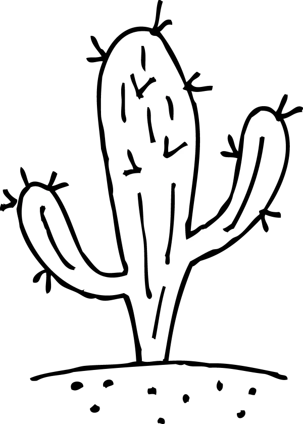 Hand Drawn Cactus Outline PNG Transparent Background