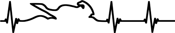 Solid Black Background PNG