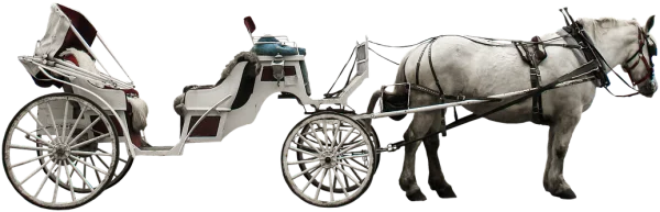 White Horse Drawn Carriage PNG Transparent Background