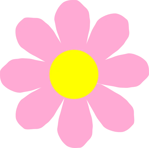 Cute Pink Daisy Flower PNG Transparent Background